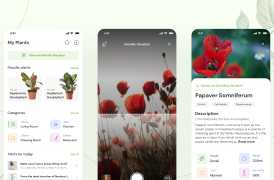 MobileAppDesign